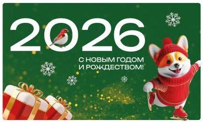 "Новый год в ЦГДБ" Раус-программа.